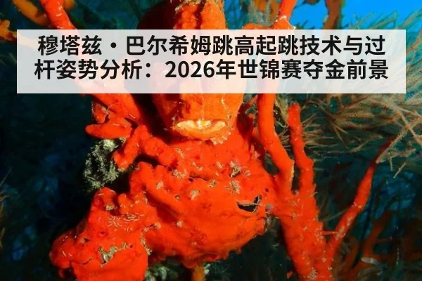 穆塔兹·巴尔希姆跳高起跳技术与过杆姿势分析：2026年世锦赛夺金前景