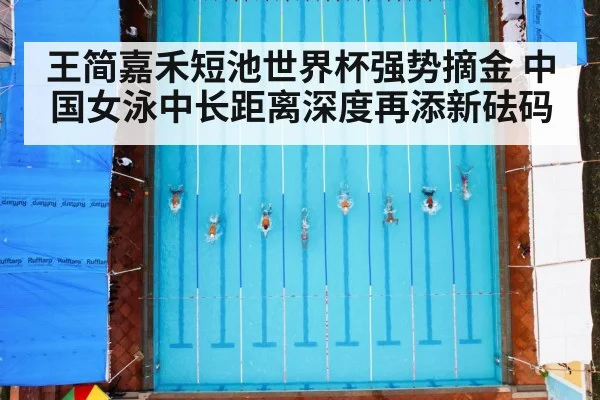 王简嘉禾短池世界杯强势摘金 中国女泳中长距离深度再添新砝码